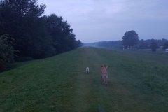 20160819_205210