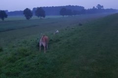 20160819_205331