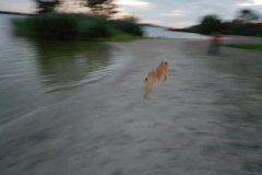 20160821_211826