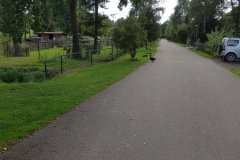 20160822_180113