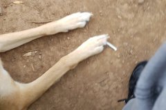 20170831_132652