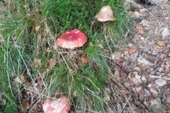 20170902_121511