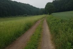 IMG-20180603-WA0003