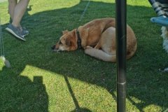 IMG_20200804_173222