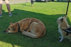 IMG_20200804_173238