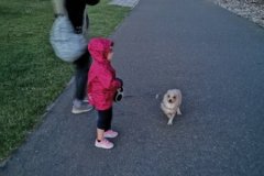IMG_20200728_221744