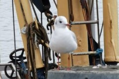 IMG_20200802_155942