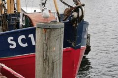 IMG_20200802_155953