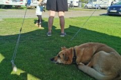 IMG_20200804_173236