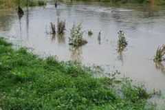 IMG-20210714-WA0008