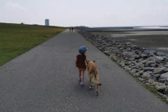 IMG-20210713-WA0008