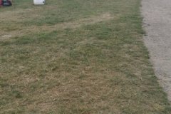 IMG-20210714-WA0009