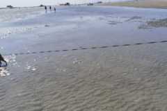 IMG-20210716-WA0001