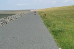 IMG_20210713_122917