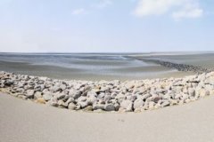 IMG_20210713_122943