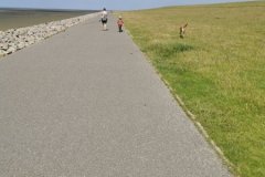 IMG_20210713_122956