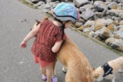 IMG_20210713_123330