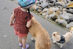 IMG_20210713_123332