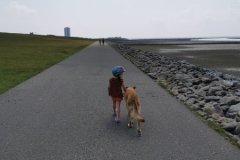 IMG_20210713_123345