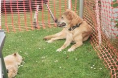 IMG_20210713_152947