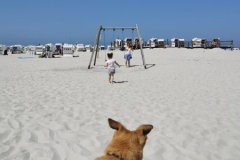 IMG_20210716_130745