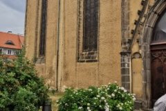 IMG_20230724_114415