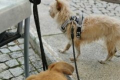 IMG_20230724_180950