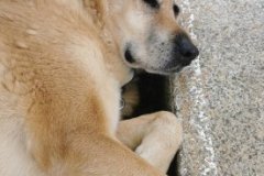 IMG_20230724_182817